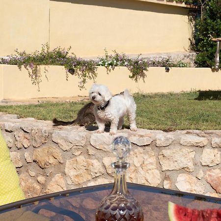 Argoulidhés Sunny Hideaway Residence Close To The Nature المظهر الخارجي الصورة